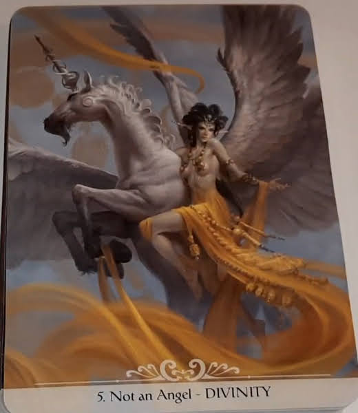 Barbieri Unicorns Oracle